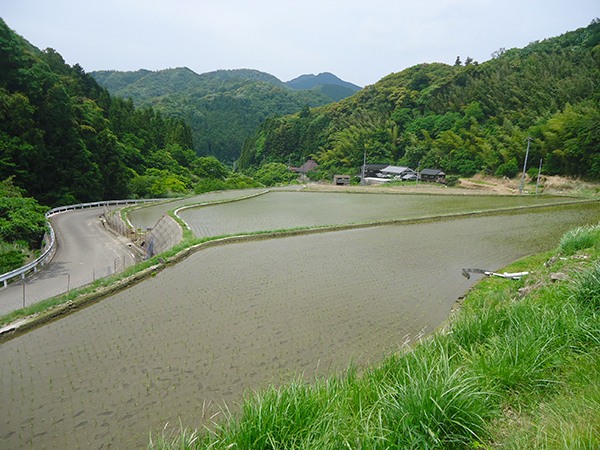 癒される空間・下関の棚田風景