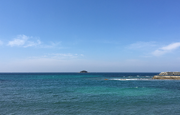 下関・豊北町の海の幸