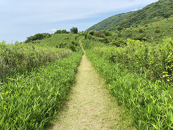 企救自然歩道【大台ヶ原－戸ノ上山往復コース】