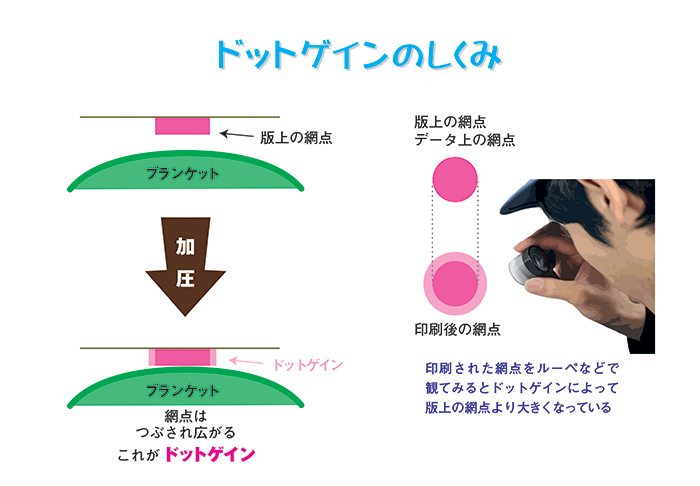 ドットゲイン