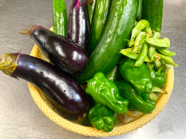 初めての畑で夏野菜作り－枝豆は家飲みビールのお供に。