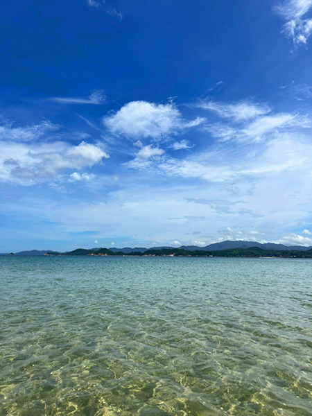 青い夏